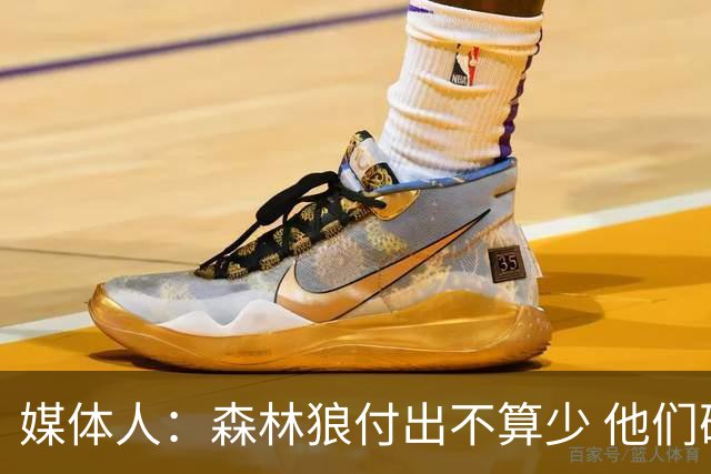 媒体人：森林狼付出不算少 他们确实需要变化 之前的阵容到上限了